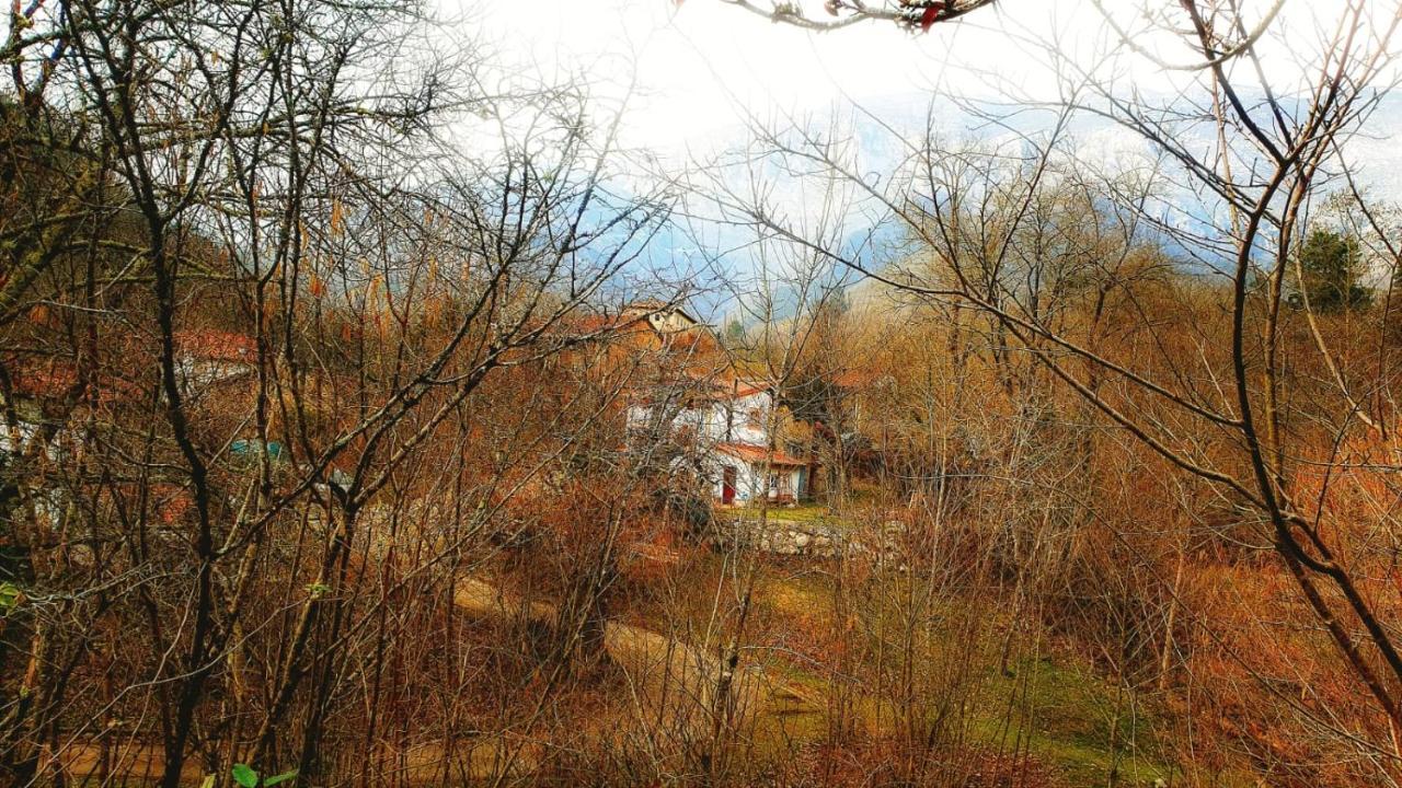 Hotel Rural La Tahona De Besnes Arenas De Cabrales Εξωτερικό φωτογραφία